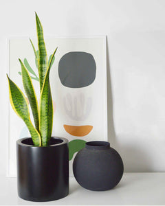 Matte black cylinder plant pot on dresser