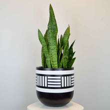 NOMAD POT | PLANTER