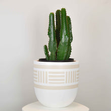 NOMAD POT | PLANTER