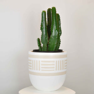 NOMAD POT | PLANTER