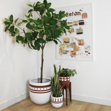 KURVED POT | PLANTER