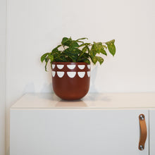 KURVED POT | PLANTER