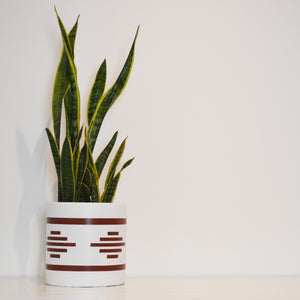 SAHARA CYLINDER POT | PLANTER