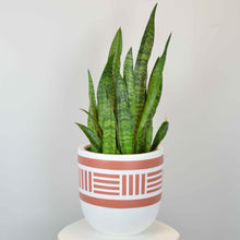 NOMAD POT | PLANTER