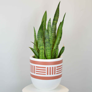 NOMAD POT | PLANTER