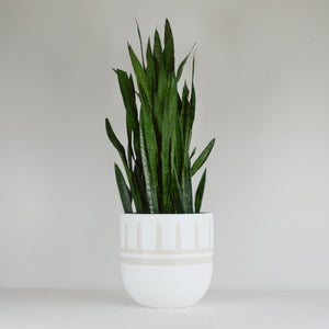 REIGN POT | PLANTER