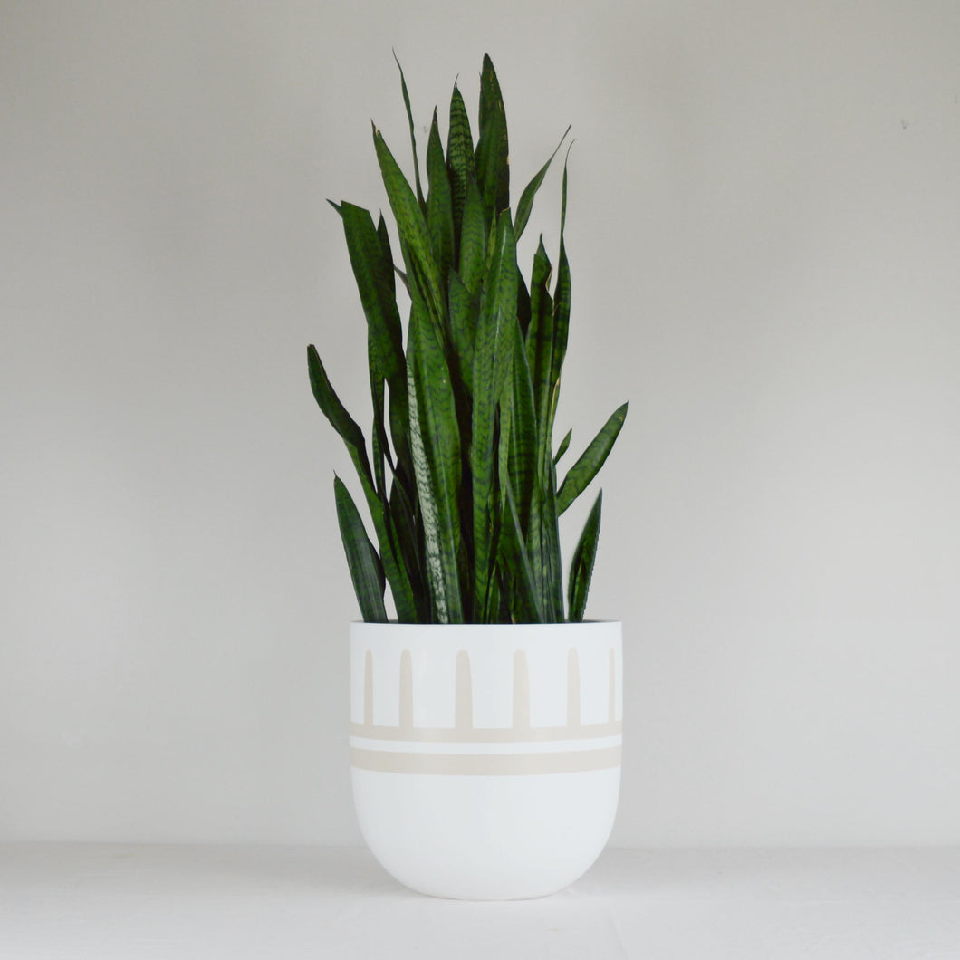 REIGN POT TAN | PLANTER