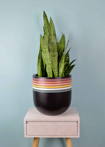 retro plant pot on oak plant stand