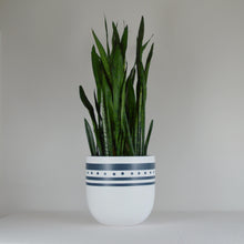 PIXY POT | PLANTER