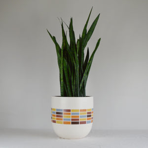 MATRIX POT | PLANTER