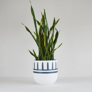 REIGN POT | PLANTER