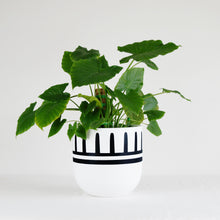 REIGN POT | PLANTER