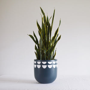 KURVED POT | PLANTER