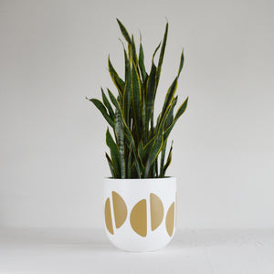 CRESCENT POT | PLANTER