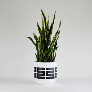 SPIRE POT | PLANTER