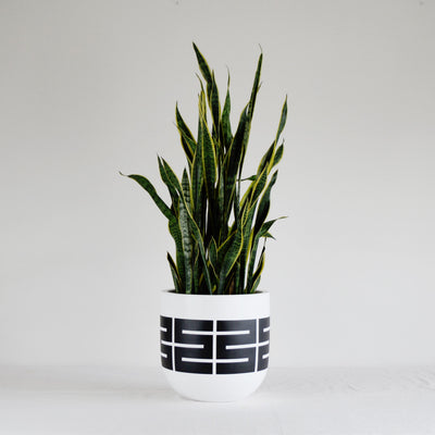 Spire Planter