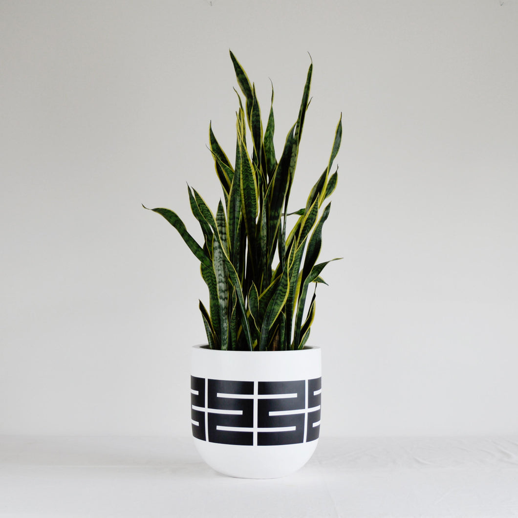 SPIRE POT | PLANTER