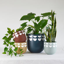 KURVED POT | PLANTER