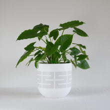 SPIRE POT | PLANTER