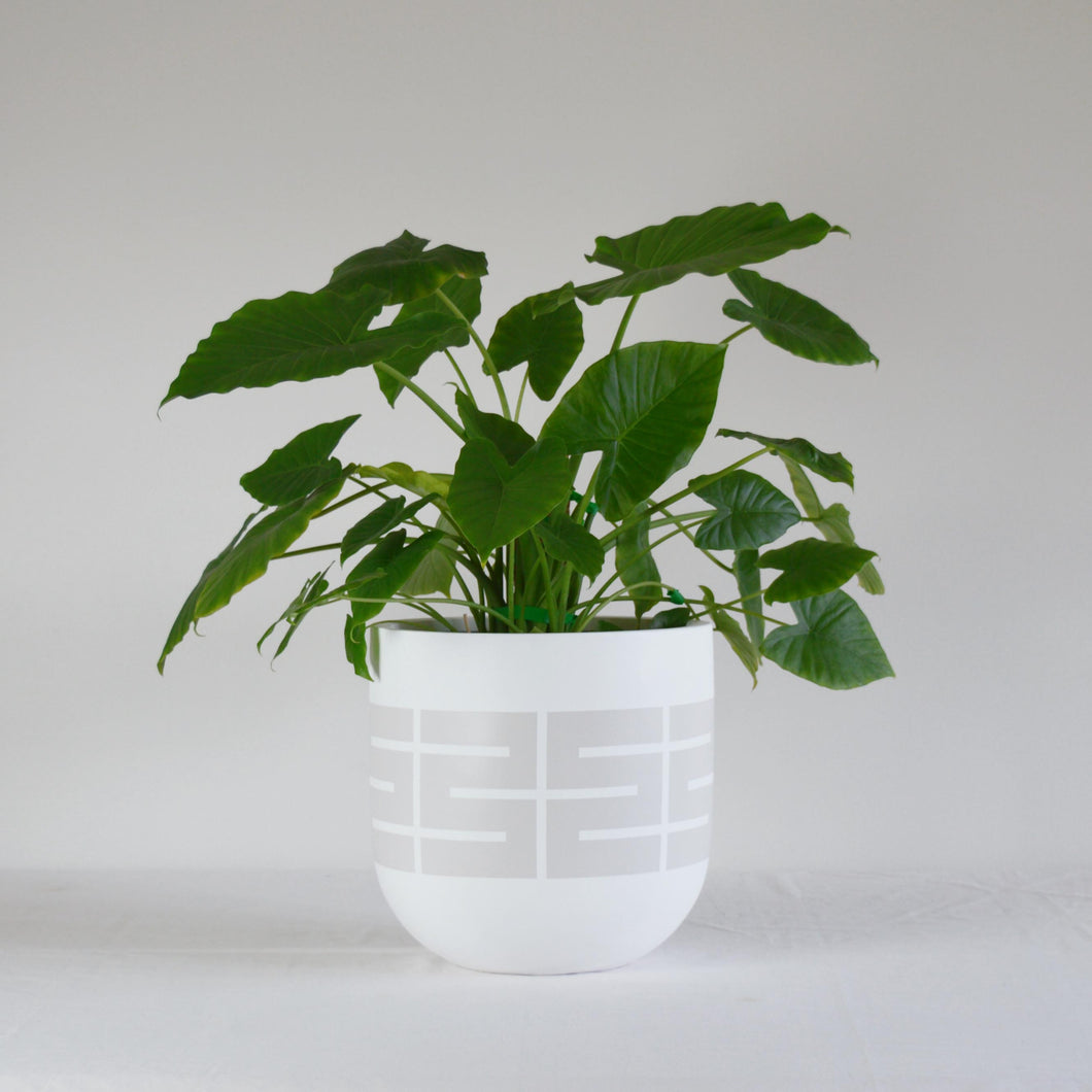 SPIRE POT MUSHROOM | PLANTER