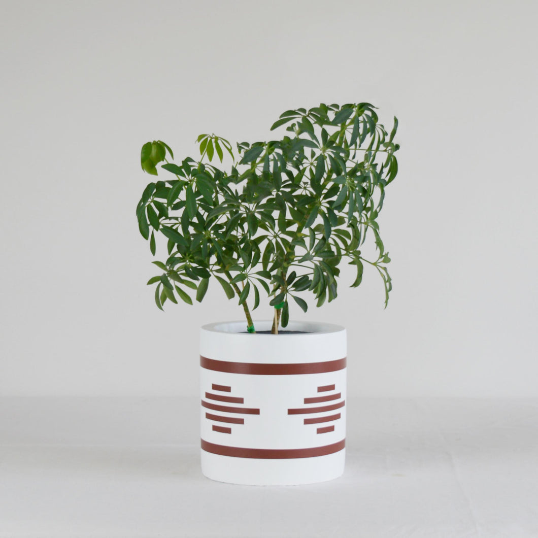 SAHARA CYLINDER POT | PLANTER