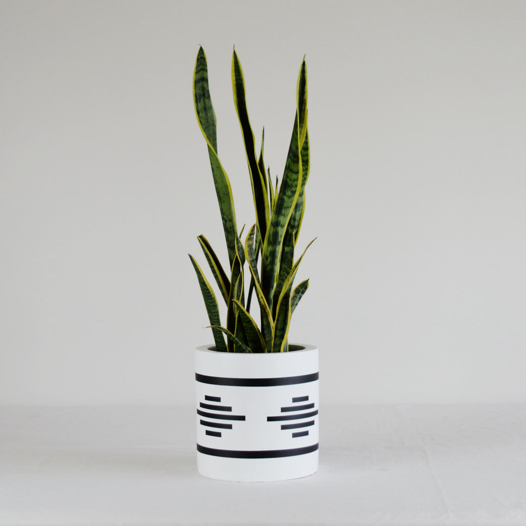 SAHARA CYLINDER POT WHITE | PLANTER