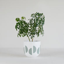 CRESCENT POT | PLANTER