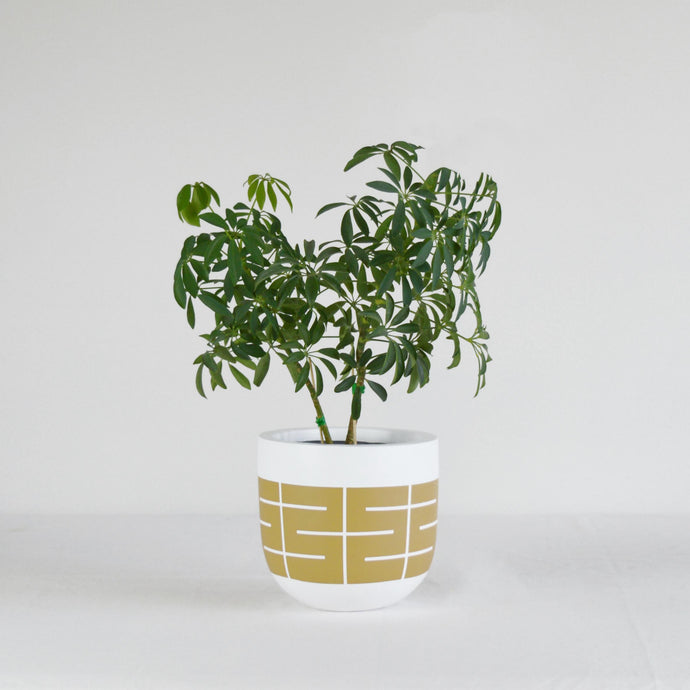 Spire Planter | Autumn Yellow