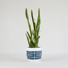 SPIRE POT | PLANTER