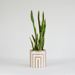 TRUSS CYLINDER POT | PLANTER