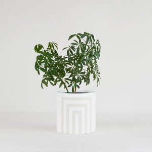 TRUSS CYLINDER POT | PLANTER