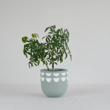 KURVED POT | PLANTER