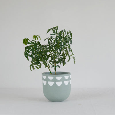 Kurved Planter