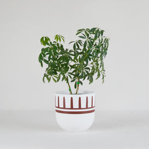 REIGN POT | PLANTER