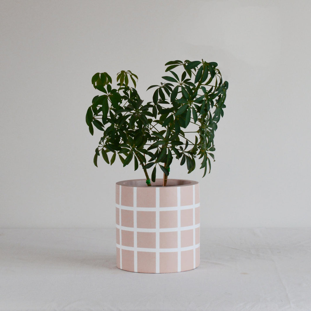 GRID CYLINDER POT BAKED CLAY | PLANTER