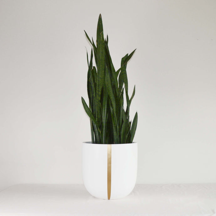 STRAND POT | PLANTER
