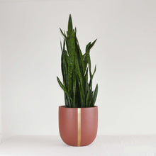 STRAND POT | PLANTER