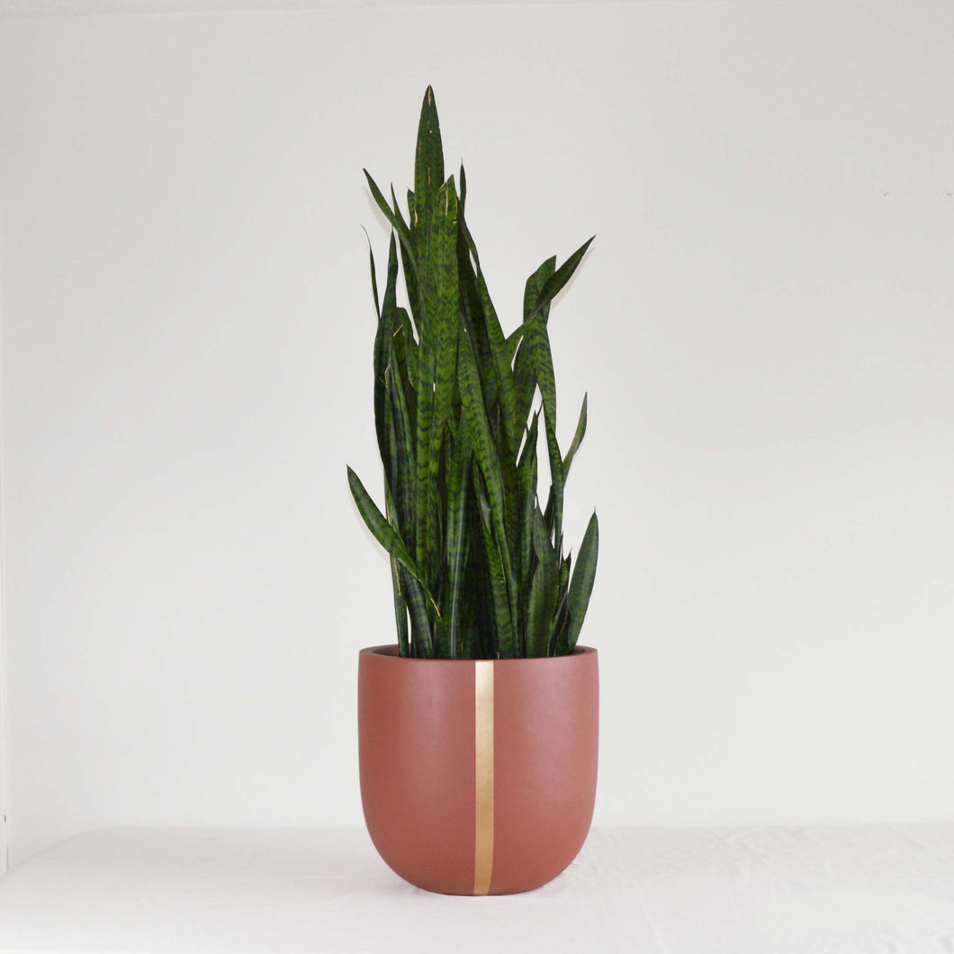 STRAND POT RUST | PLANTER