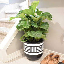 NOMAD POT | PLANTER