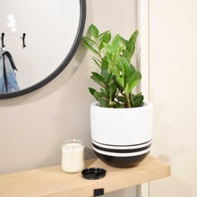LINER POT | PLANTER