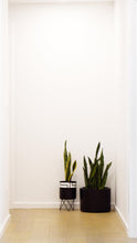 MAYAN CYLINDER POT | PLANTER