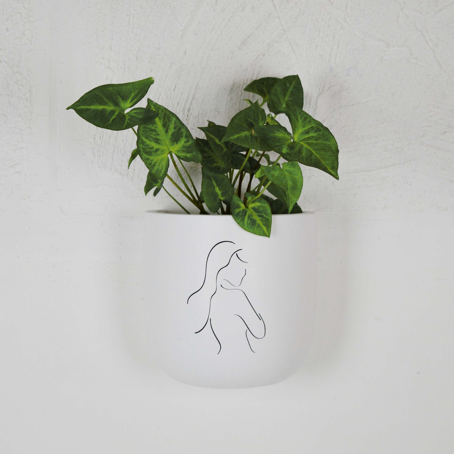 White wall-mounted hanging planter with leafy plant.  A line drawing of a female is centred on the planter.