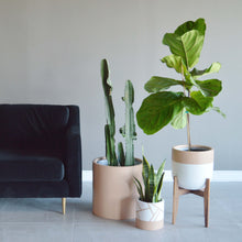 CAMEL AND WHITE PLANTER NEXT TO A NAVY VELVET SOFA