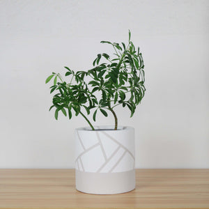 DIRECTIONAL CYLINDER POT | PLANTER