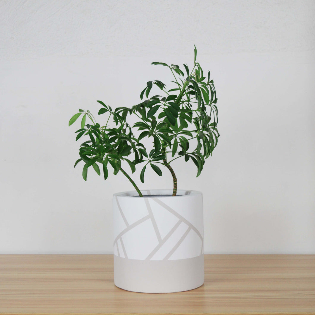 DIRECTIONAL CYLINDER POT MUSHROOM | PLANTER