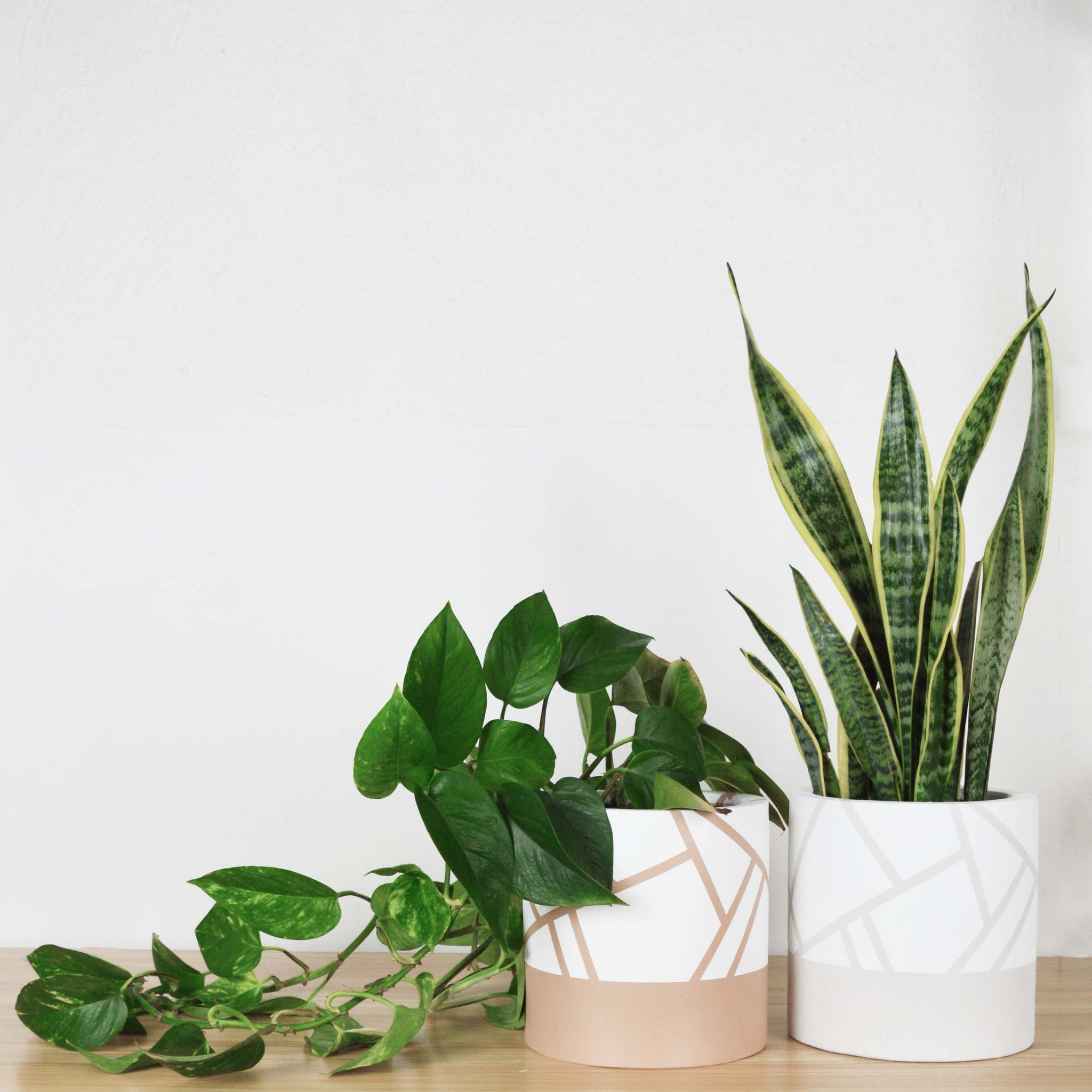 geometric white plant pot Directional Cylinder Planter