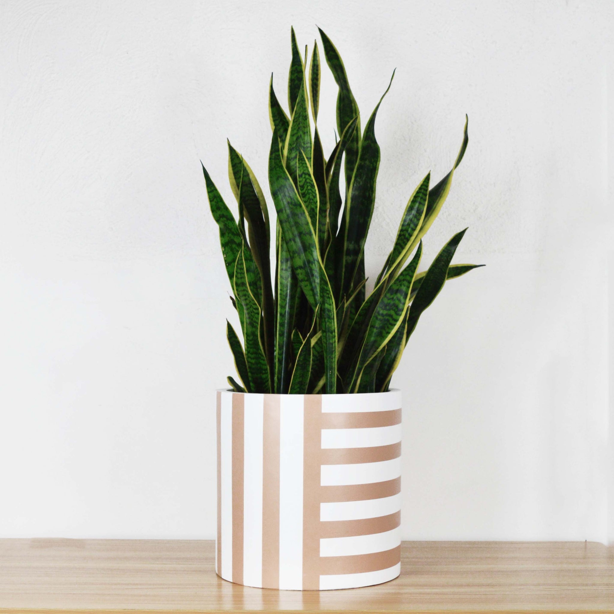 striped planter pot Striped Cylinder Planter