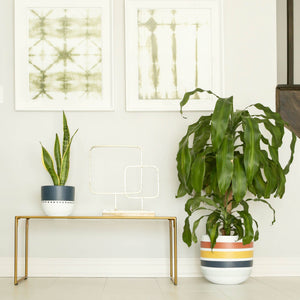 HUDSON POT | PLANTER