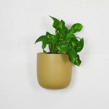 golden yellow wall planter with trailing pothos plant