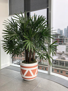 aztec design planter pot in modern office building with large palm tree